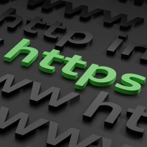Website Terms and Privacy Legal Review
